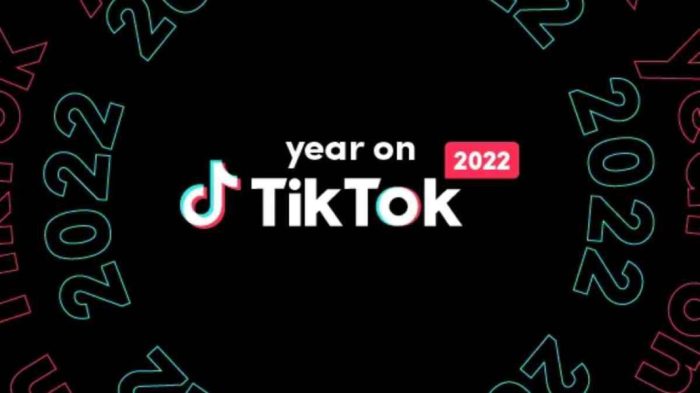 Tiktok Shutting Down 2025