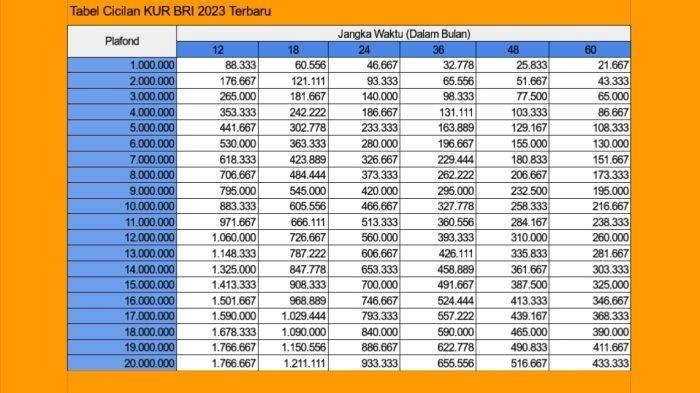 Platform Pinjaman BRI 2025