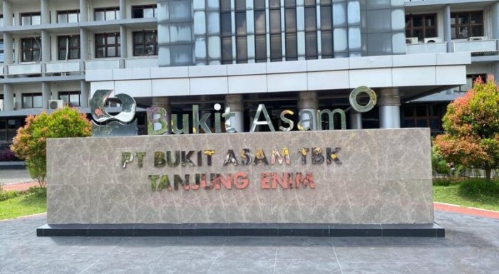 Gaji Pt Bukit Asam 2025