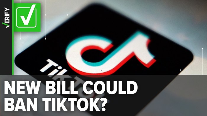 Peraturan Tiktok Tanggal 12 November 2025