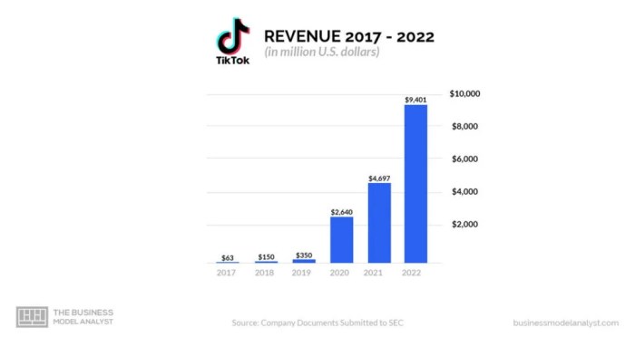Tiktok Shop Revenue 2025
