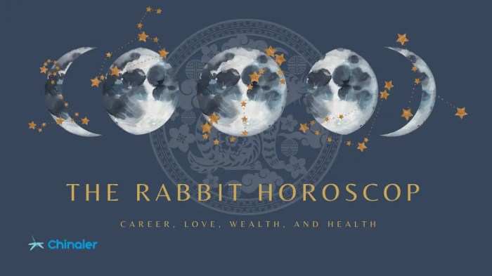 Rabbit chinese zodiac symbol vector sign symbols する 選択 ボード vectorstock astrology adobe