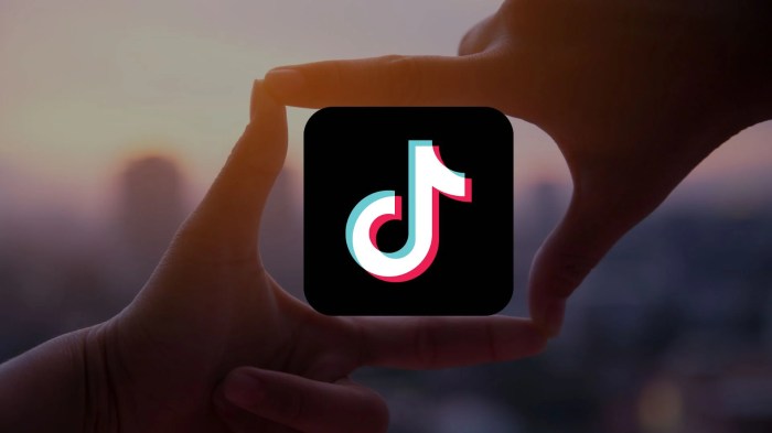 Berapa Pajak Tiktok Shop 2025