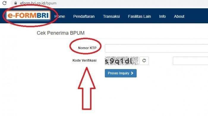 Pinjaman BRI 2025 E Form