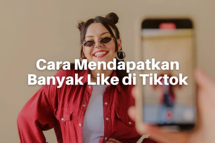 Tiktok Like Bot 2025