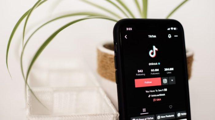 Cara Menambahkan Link Di Bio Tiktok 2025