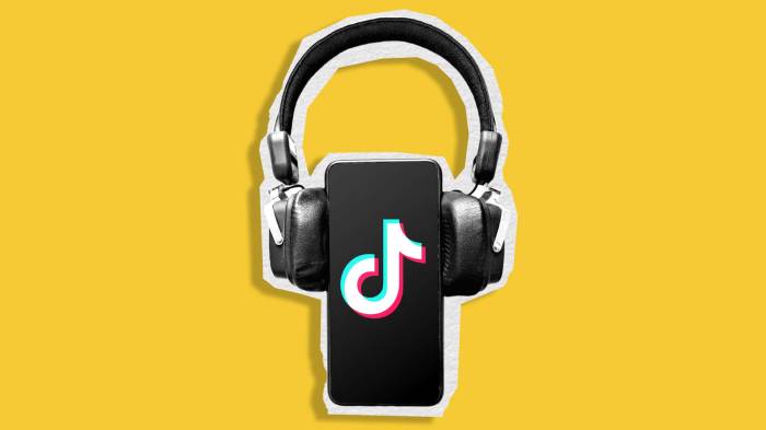 Popular Tiktok Music 2025
