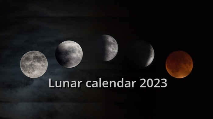 Film Spesial Imlek 2025