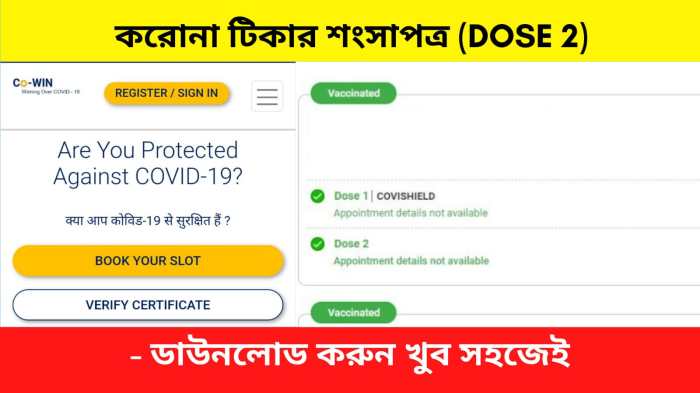 Download Sertifikat Vaksin Tanpa Aplikasi 2025