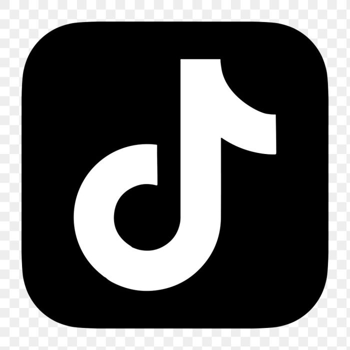 Tiktok Awards 2025 Logo