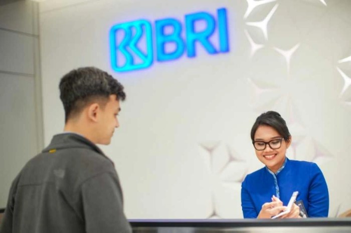Pinjaman BRI 2025 Pns