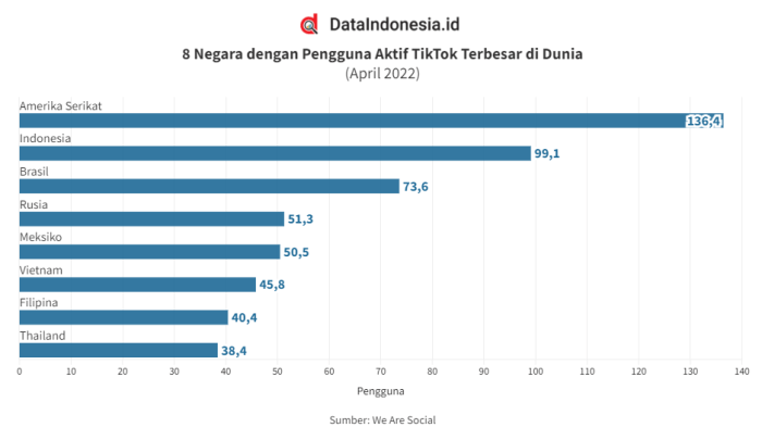 Trend Tiktok 2025 Indonesia