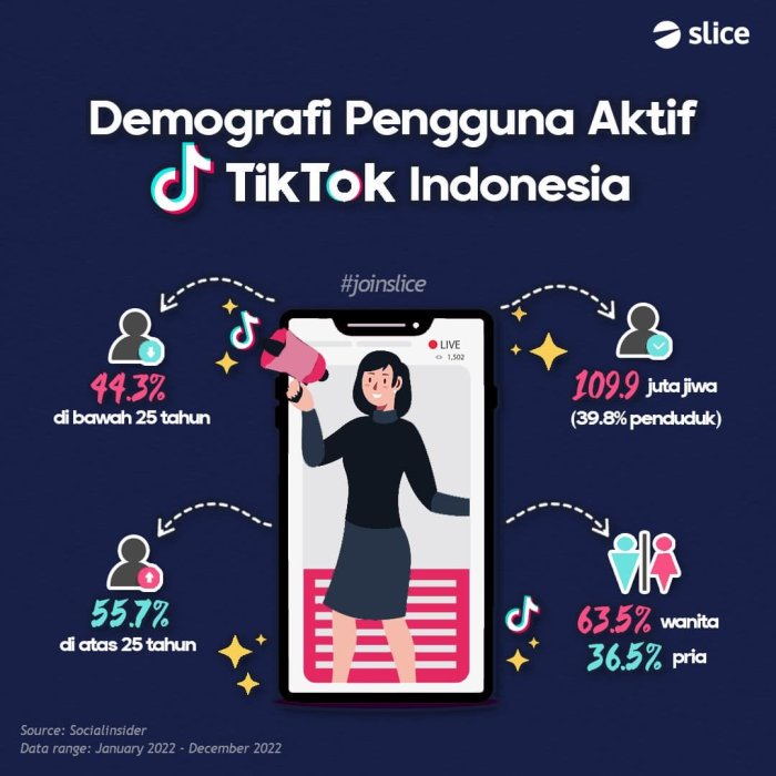 Data Statistik Pengguna Tiktok Di Indonesia 2025