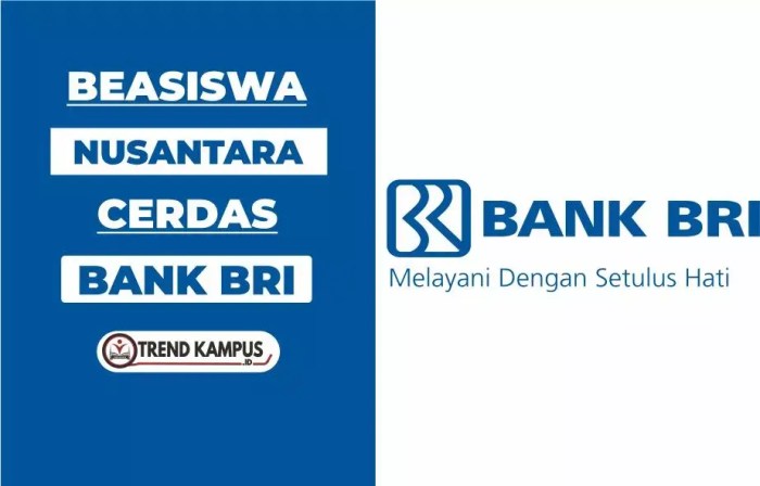 Pinjaman BRI 2025 E Form