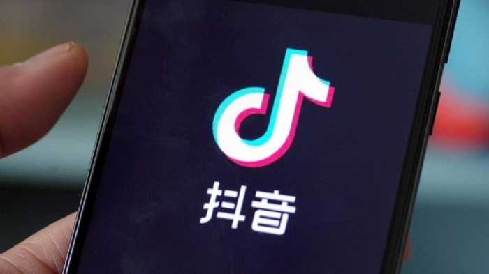 Viral Chinese Song On Tiktok 2025