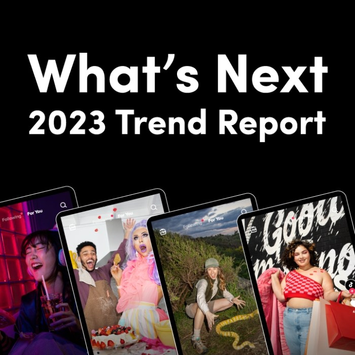 2025 Tiktok Wrapped