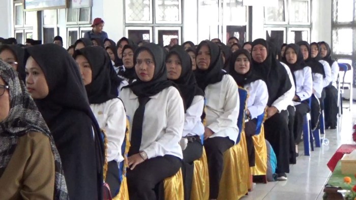 Berapa Gaji P3k 2025