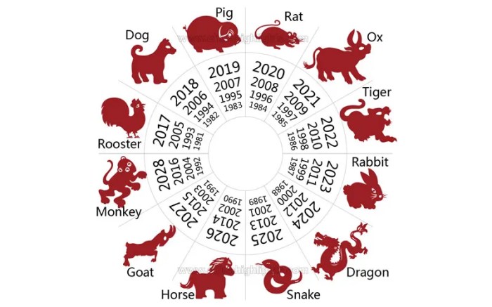 Olahraga apa yang cocok untuk shio Tikus di tahun 2025?