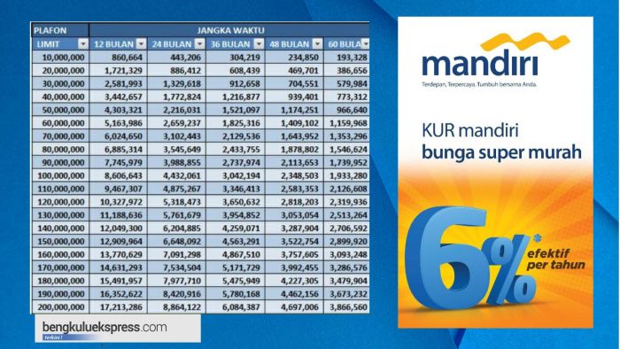 Bunga Pinjaman Mandiri 2025