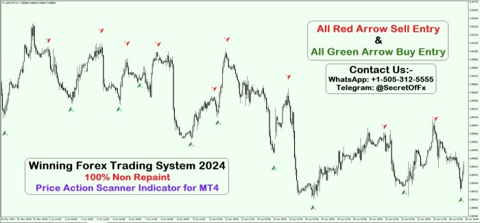 Forex trading strategies Christmas 2024