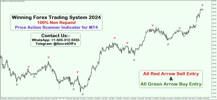 Risiko trading Forex saat libur Natal 2024