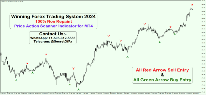 Apa strategi trading Forex terbaik selama libur Natal 2024?