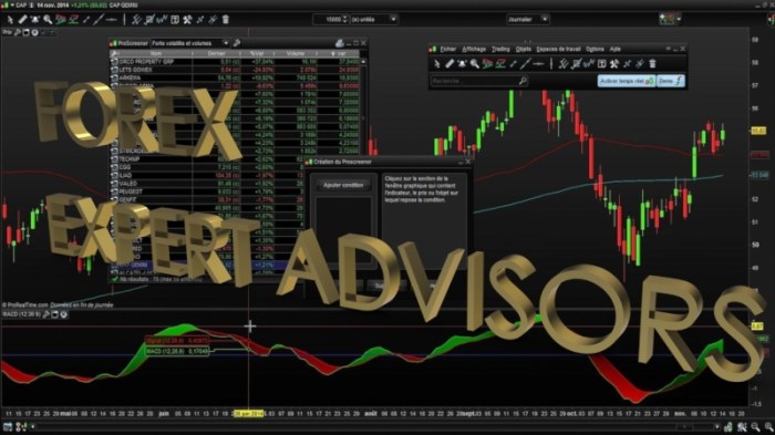 Expert advisor Forex untuk libur Natal 2024