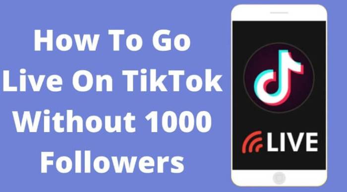 How To Go Live On Tiktok Without 1000 Followers 2025