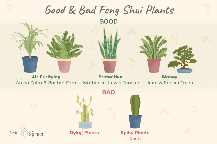 Tanaman apa yang baik untuk feng shui shio Kelinci di tahun 2025?