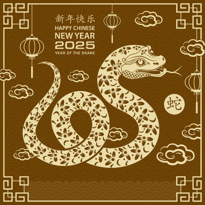 Resolusi tahun baru 2025 untuk shio Tikus