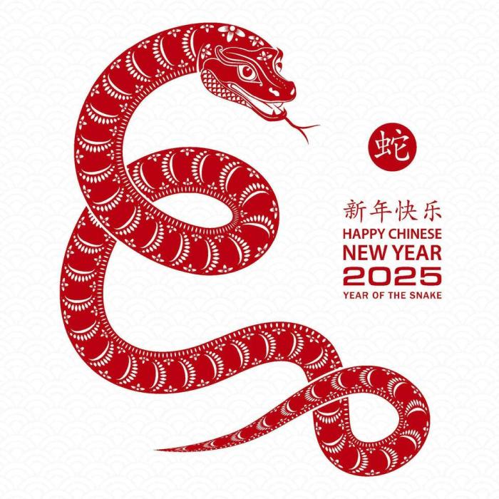 2025 year snake chinese lunar zodiac svg follow design Pamflet Imlek 2025