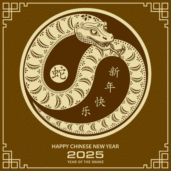 Bagaimana shio Tikus bisa mengatasi tantangan di tahun 2025?
