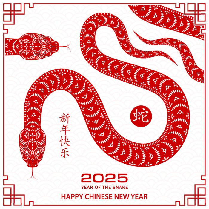Investasi apa yang cocok untuk shio Tikus di tahun 2025?