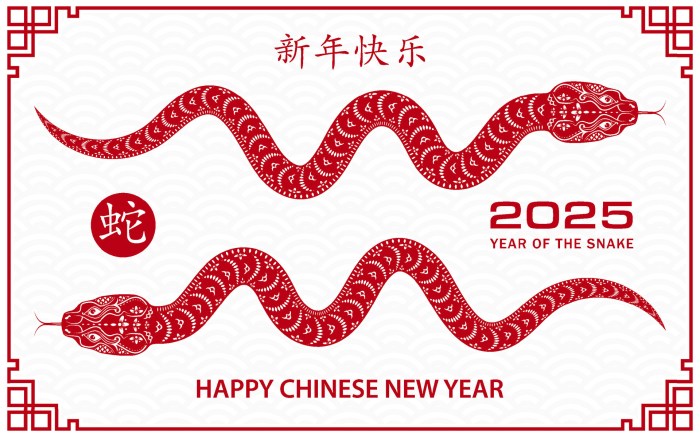Investasi apa yang cocok untuk shio Tikus di tahun 2025?