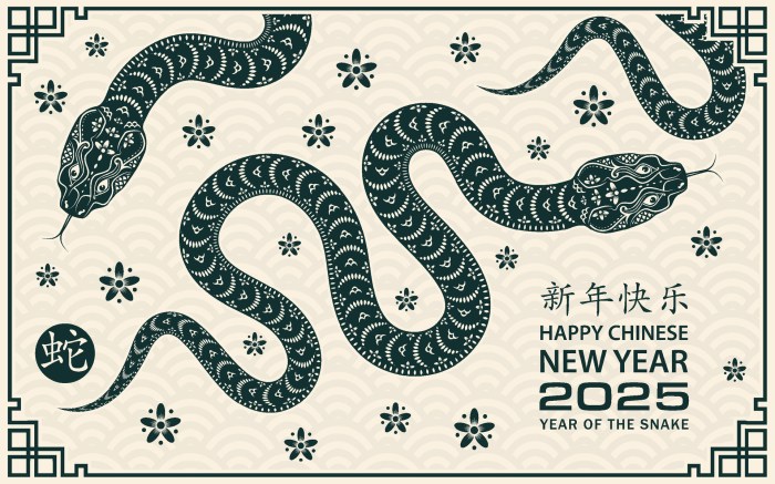 Olahraga apa yang cocok untuk shio Tikus di tahun 2025?