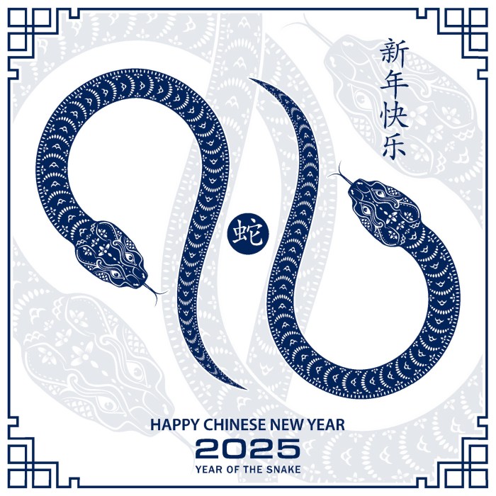 Warna apa yang membawa keberuntungan untuk shio Tikus di tahun 2025?