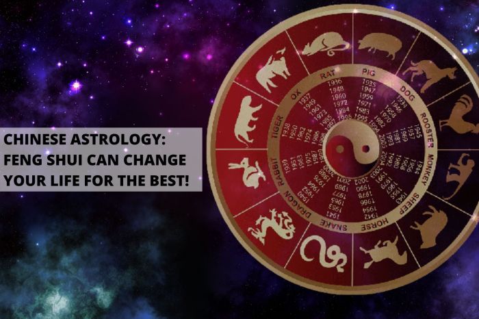 Bagaimana shio Kerbau bisa memanfaatkan feng shui untuk meningkatkan keuangan di tahun 2025?