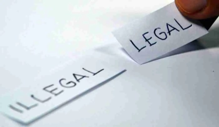 Nama Pinjol Ilegal 2025