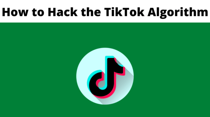 Cara Nuyul Tiktok 2025