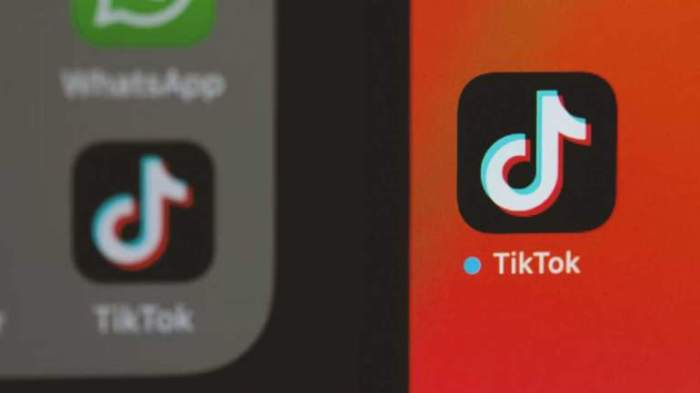 Aplikasi Tik Tok 2025