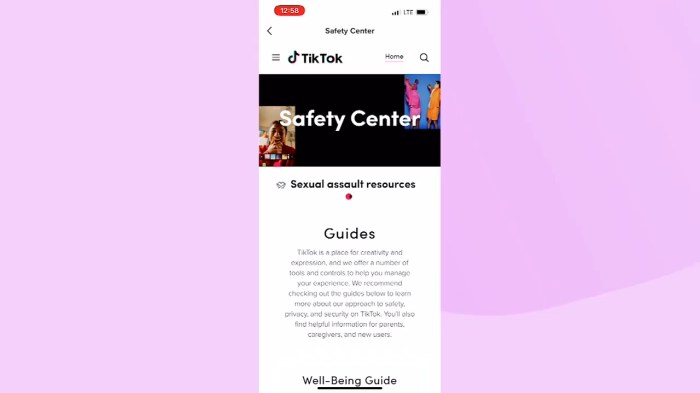 Tiktok Safe Area 2025