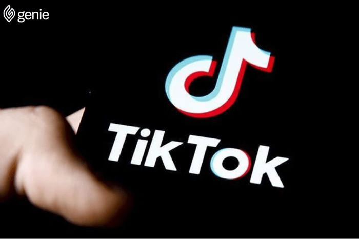 Fyp Tiktok Malaysia 2025