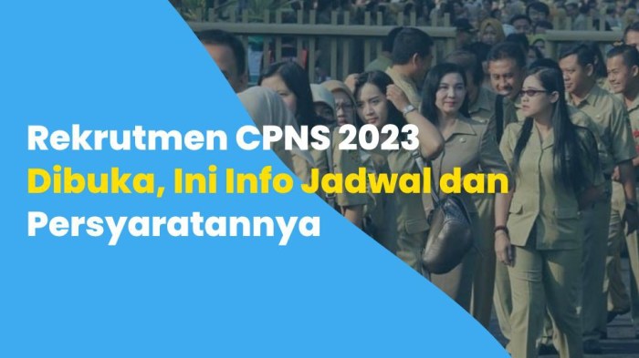 Aplikasi Cpns 2025