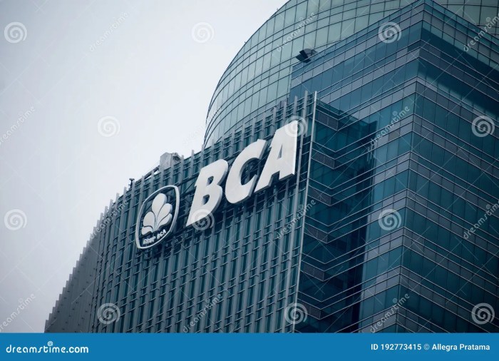 Pinjaman Kur BCA 100 Juta 2025