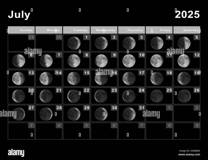 Kalender Imlek Juli 2025
