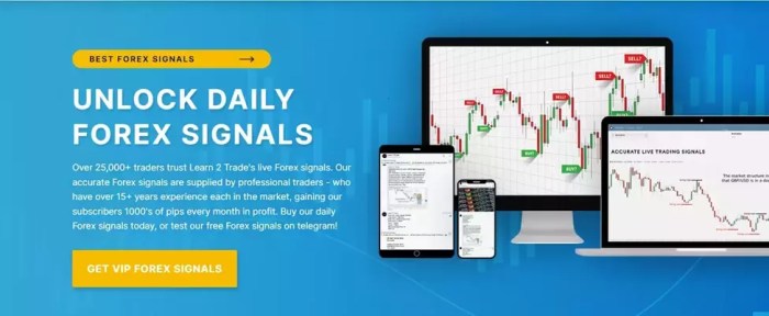 Bagaimana cara memanfaatkan libur Forex Natal 2024 untuk belajar trading?