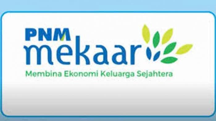 Pinjaman BNI 2025 Eform Bpum