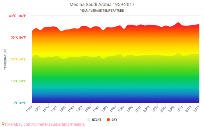 Cuaca Di Madinah Bulan Januari 2025