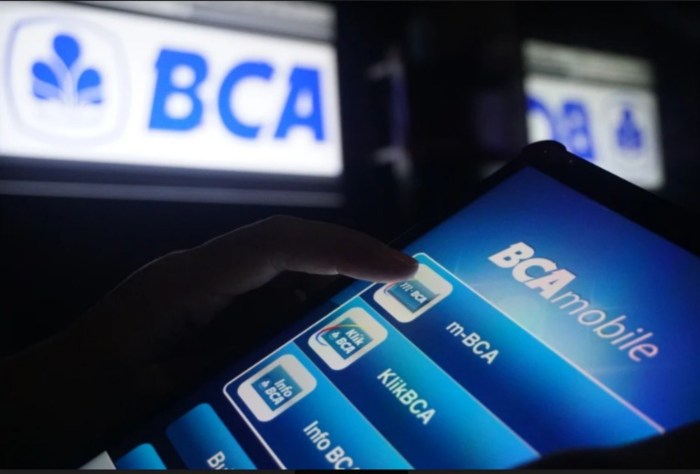 Pinjaman BCA 2025 Hilang