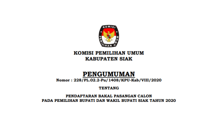 Aplikasi Sidalih Pilkada 2025
